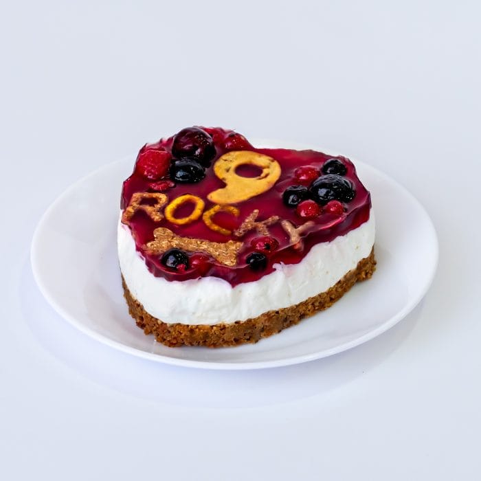 Τούρτα cheesecake για σκύλους!