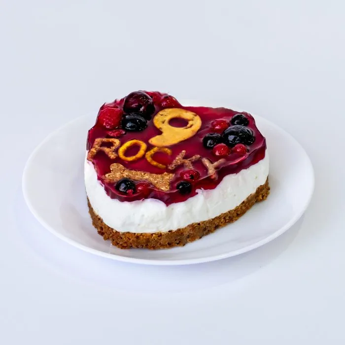 Τούρτα cheesecake για σκύλους!