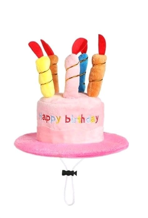 Καπέλο “Happy Birthday” για σκύλους! 