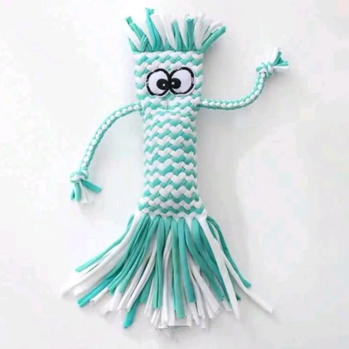 Squeaky Toy